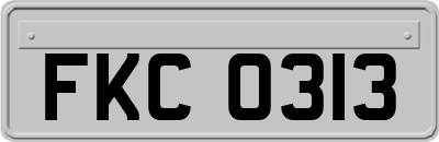 FKC0313