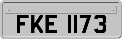 FKE1173