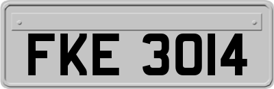 FKE3014