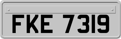 FKE7319