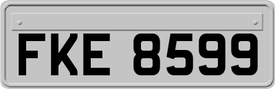 FKE8599
