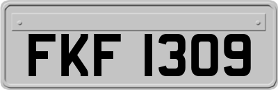FKF1309
