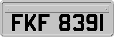 FKF8391