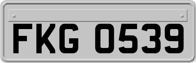 FKG0539