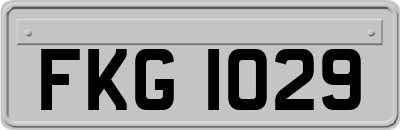 FKG1029