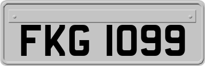 FKG1099