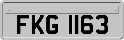 FKG1163