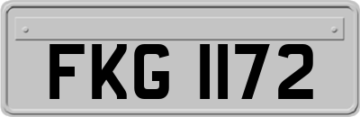 FKG1172