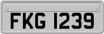 FKG1239
