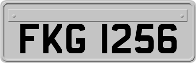 FKG1256