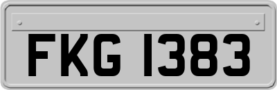 FKG1383