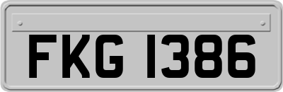 FKG1386