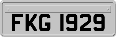 FKG1929
