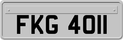 FKG4011