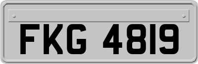 FKG4819