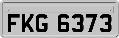 FKG6373