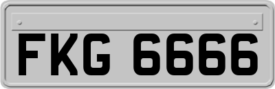 FKG6666