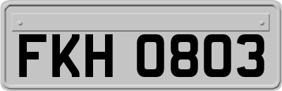 FKH0803