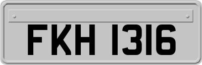 FKH1316