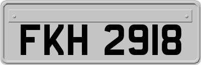 FKH2918