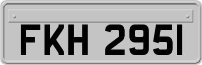 FKH2951