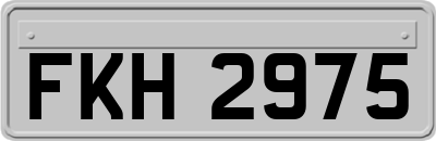 FKH2975
