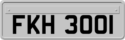 FKH3001