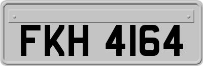 FKH4164