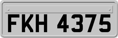 FKH4375