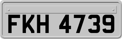 FKH4739