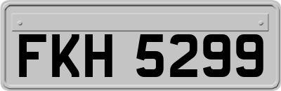 FKH5299