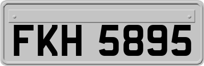 FKH5895