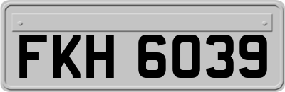 FKH6039