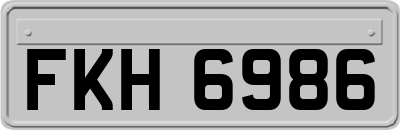 FKH6986