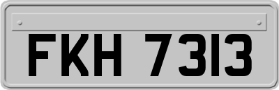 FKH7313