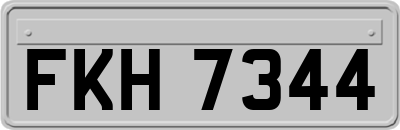 FKH7344