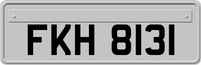 FKH8131