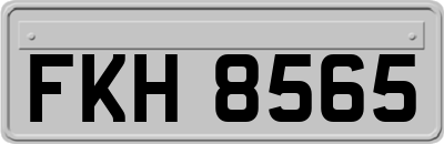 FKH8565