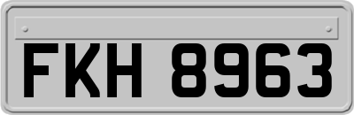 FKH8963