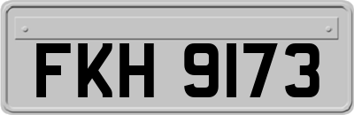 FKH9173