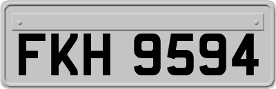 FKH9594