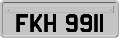 FKH9911