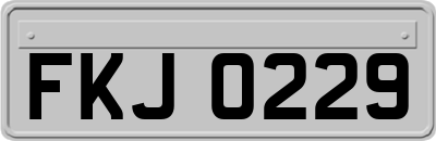 FKJ0229