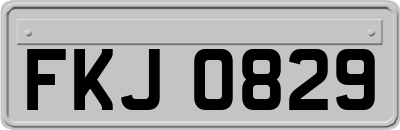 FKJ0829