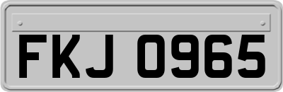 FKJ0965