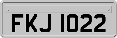FKJ1022