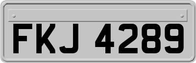 FKJ4289