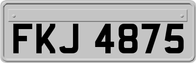 FKJ4875