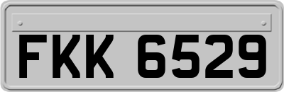 FKK6529