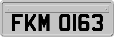 FKM0163